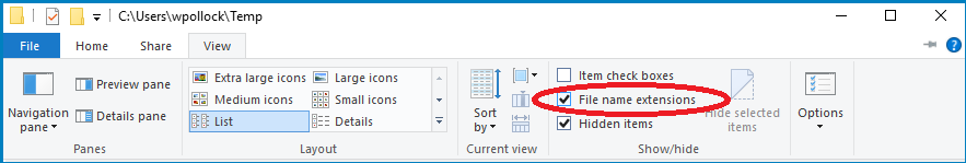 [screen-shot showing Windows 10 explorer's View options tab]