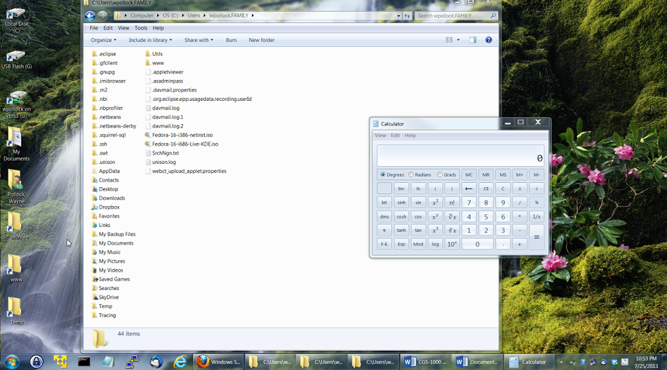 [Desktop screen-shot, illustrating a WIMP interface]